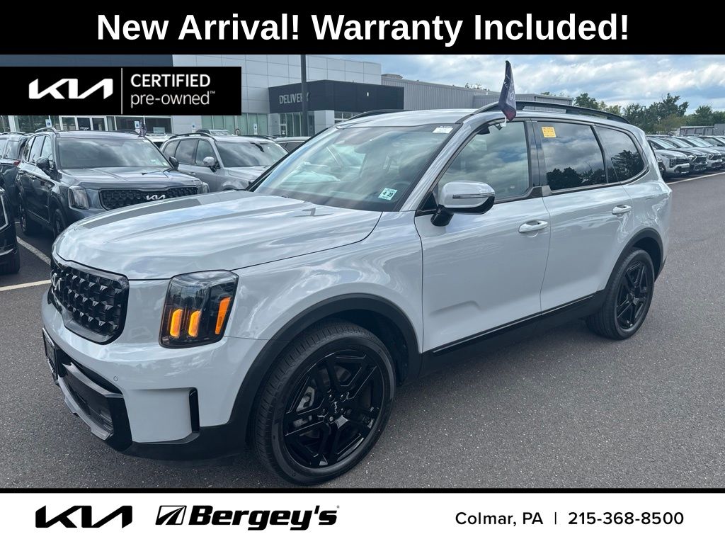 Wolf Gray 2024 Kia Telluride SUV / Crossover All-Wheel Drive 8-Speed Automatic