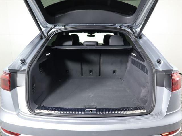 Thumbnail: 2025 Audi Q8 - 29