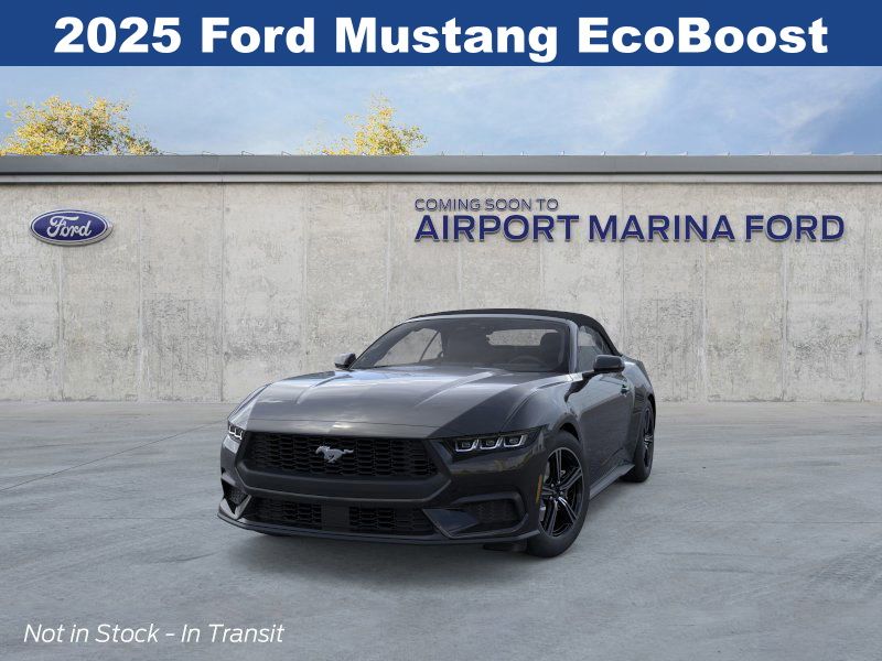 2025 Ford Mustang EcoBoost photo