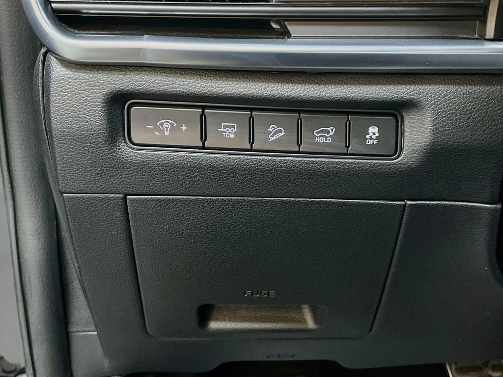 Used 2025 Panthera Metal Kia SX X-Line image 10