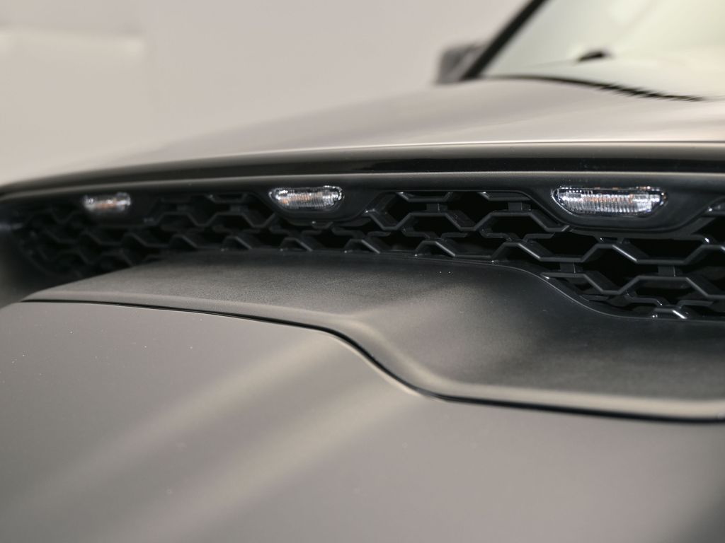 New 2026 Diamond Black Crystal Pearlcoat Ram RHO image 41