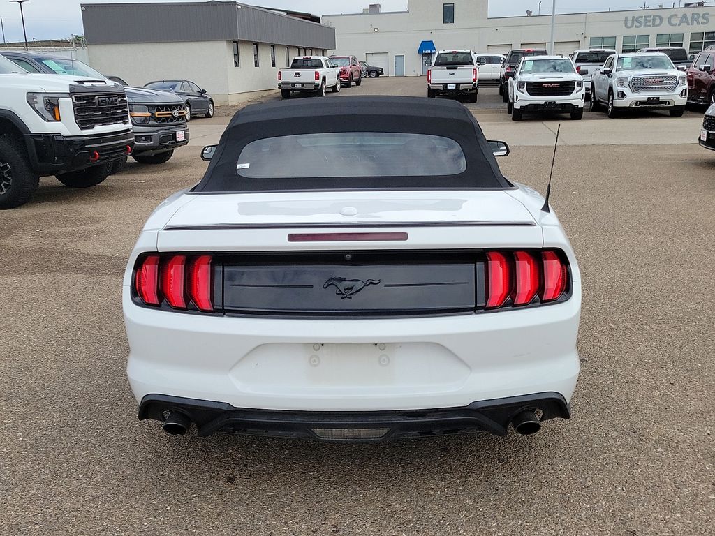 2019 Ford Mustang EcoBoost - 8