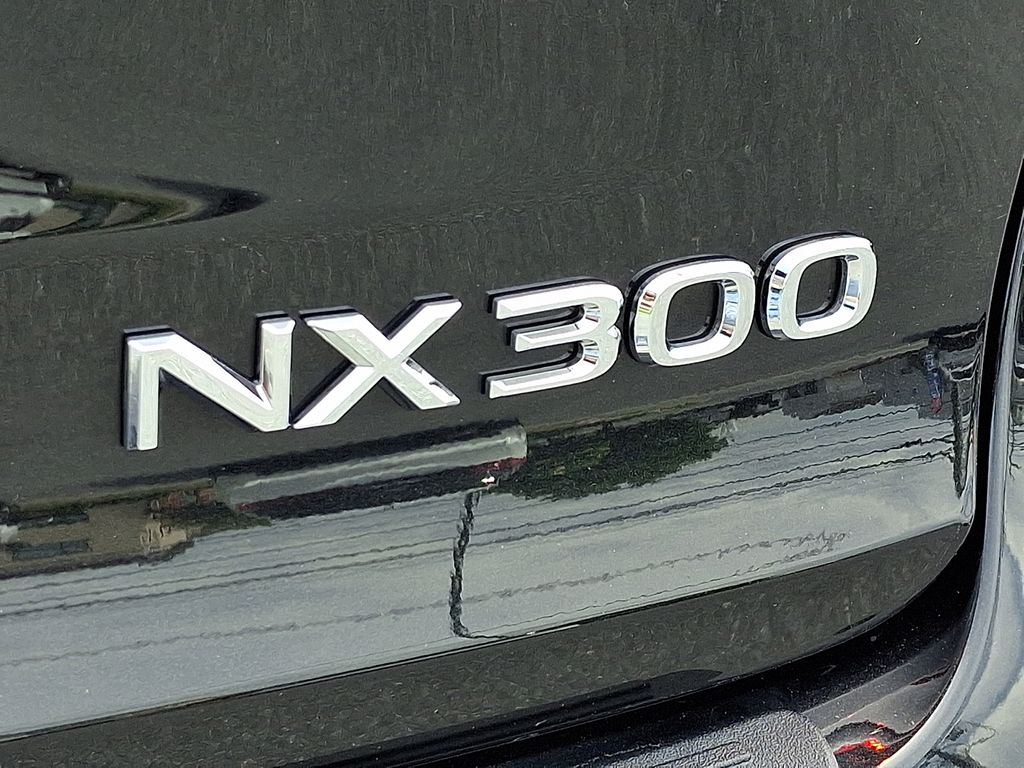 2021 Lexus NX 300 Base Black at Bob Ruth Ford