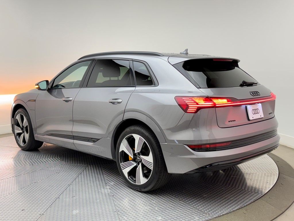 2023 Audi e-tron Premium Plus 13