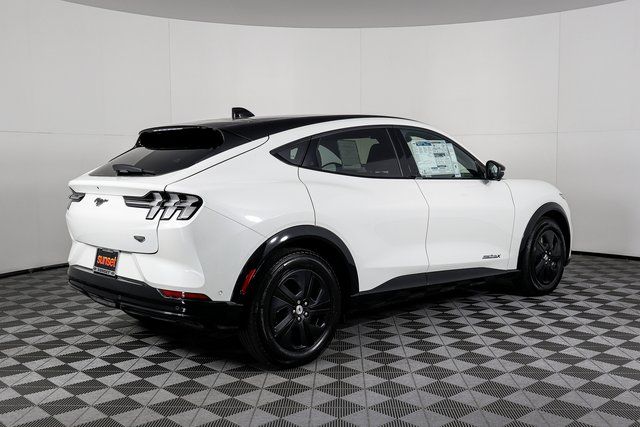 New 2023 White Ford California Route 1 image 3