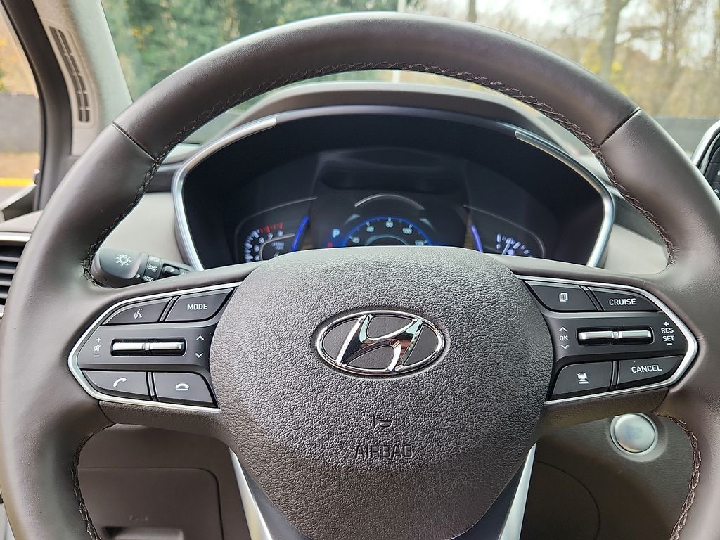 Thumbnail: 2019 Hyundai Santa Fe - 20