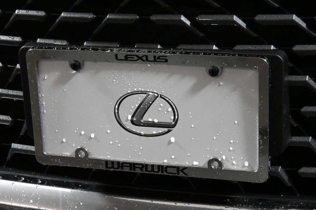 2021 Lexus RX Hybrid 450h 14