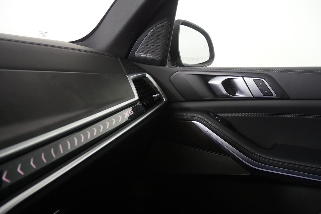 Thumbnail: 2025 BMW X5 - 29