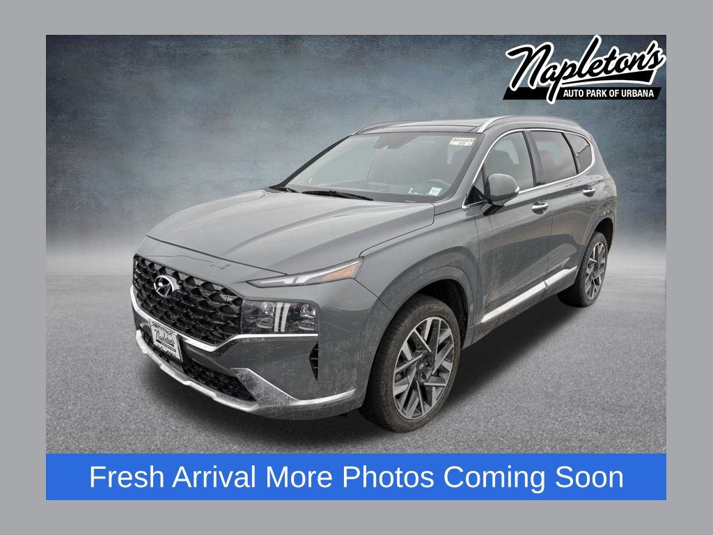 Hampton Gray 2023 Hyundai Santa Fe Calligraphy AWD SUV / Crossover All-Wheel Drive Automatic