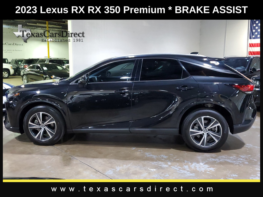 2023 Lexus RX 350 Premium 13