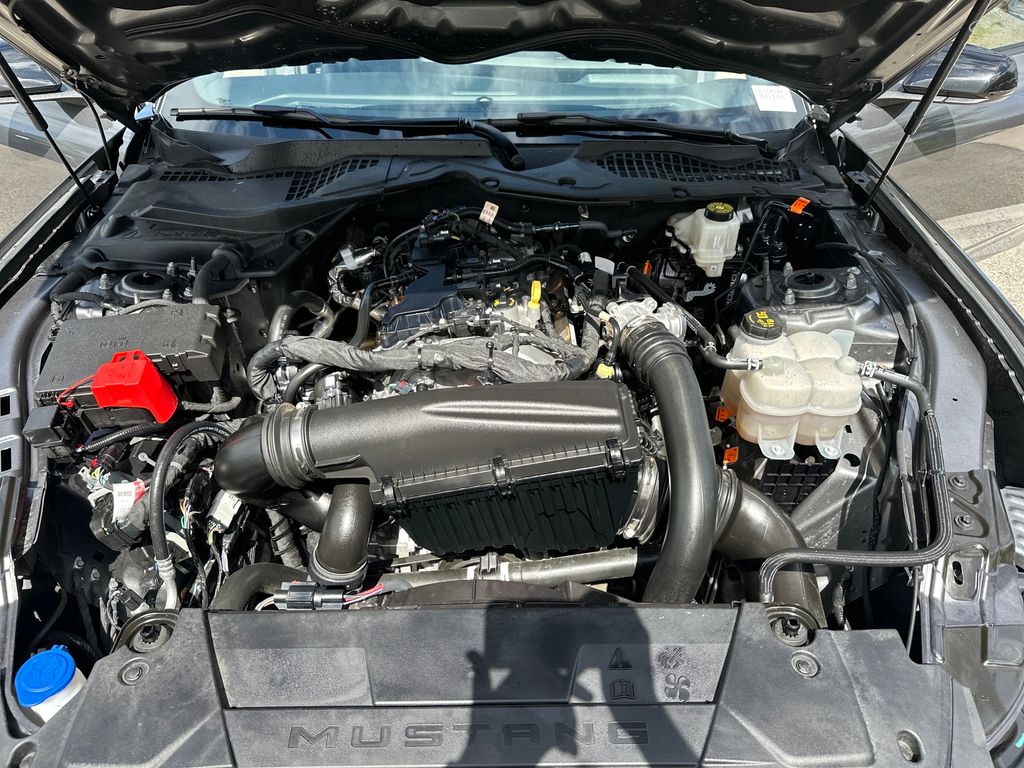 Used Car 2024 Ford Mustang  Ecoboost Premium For Sale Under $35,000 In Austin, Texas