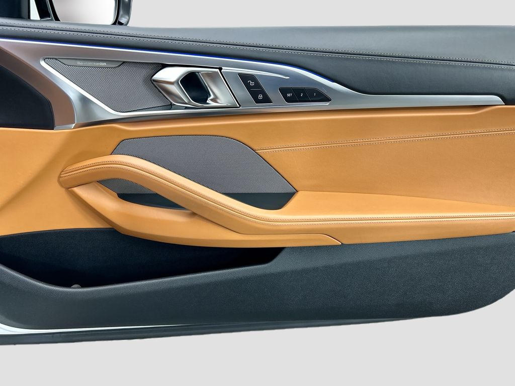 Thumbnail: 2019 BMW 8 Series - 23