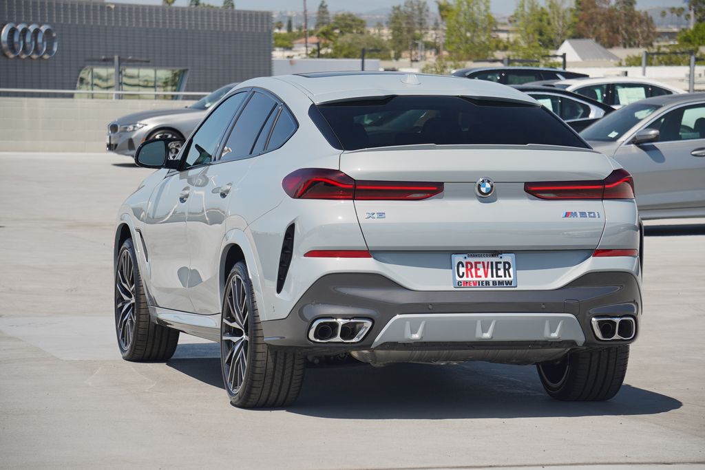 2025 BMW X6  7