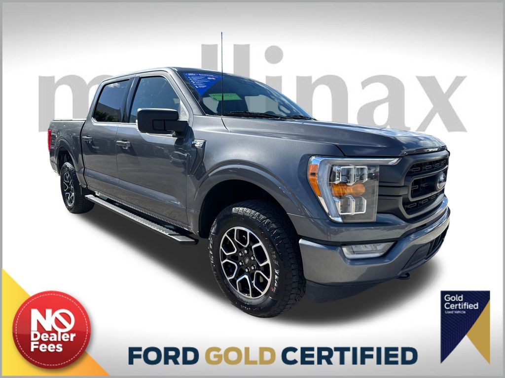 2023 Ford F-150 XLT's photo