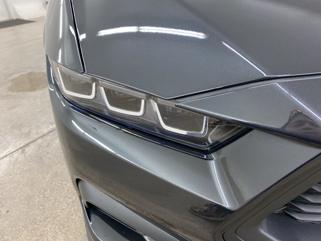 2024 Ford Mustang EcoBoost photo