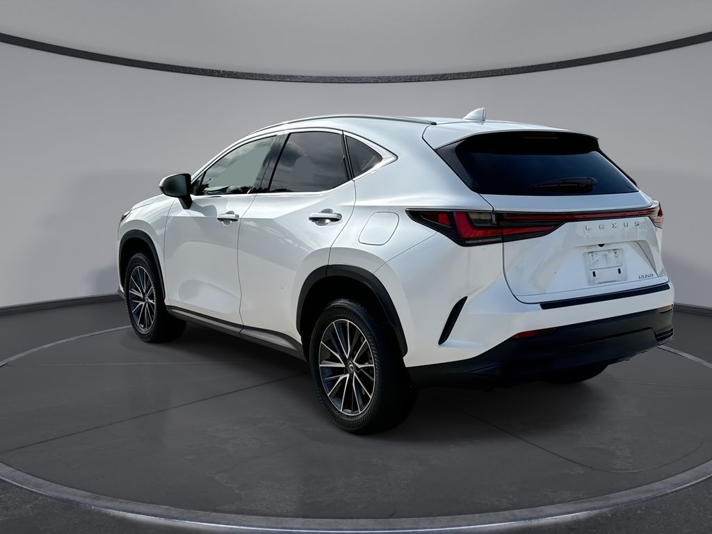 Thumbnail: 2024 Lexus NX - 10