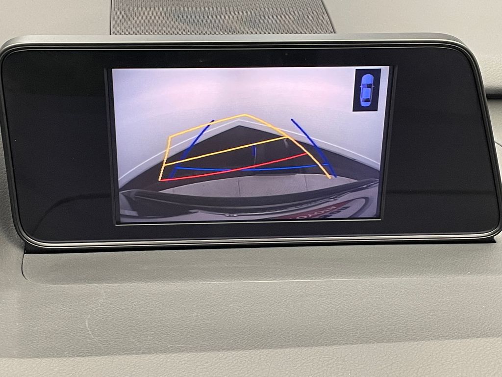 2019 Lexus RX Hybrid 450h 26