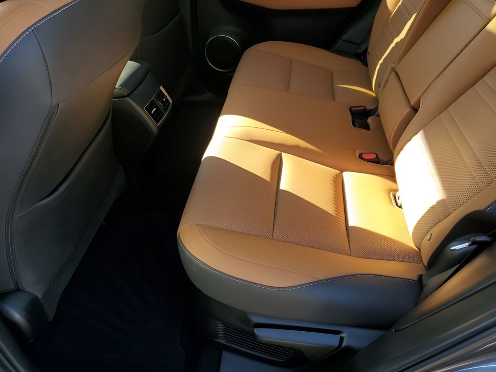 Used Car 2019 Lexus Nx  300 F Sport For Sale Under $30,000 In Austin, Texas