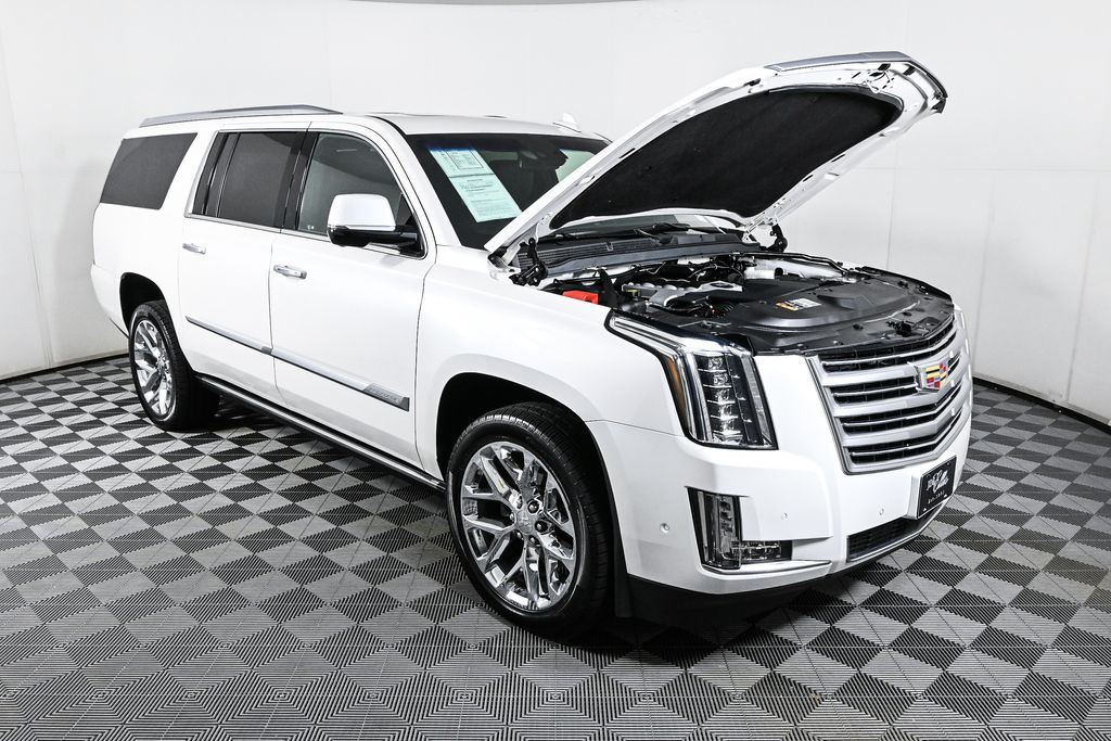 2019 Cadillac Escalade ESV Platinum Edition 34