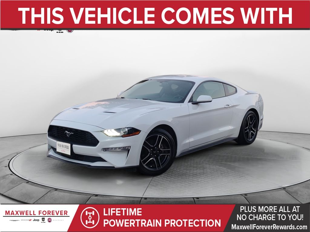 Used Car 2019 Ford Mustang  Ecoboost For Sale Under $25,000 In Austin, Texas