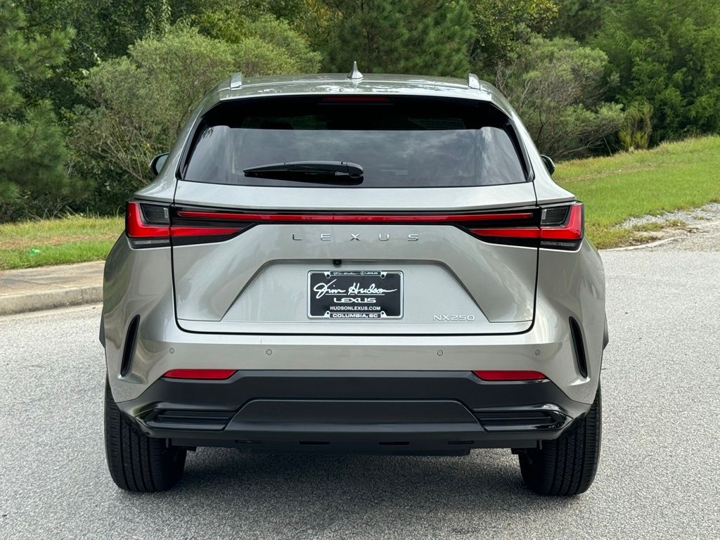 2024 Lexus NX 250 Premium 12