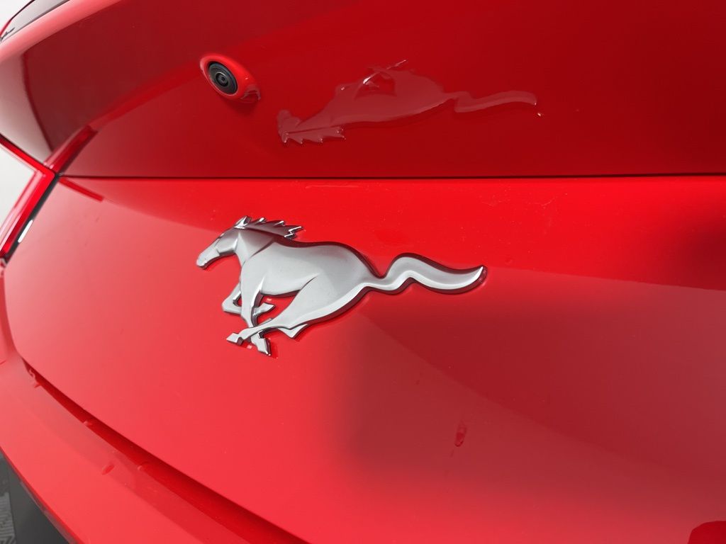 2024 Ford Mustang  10