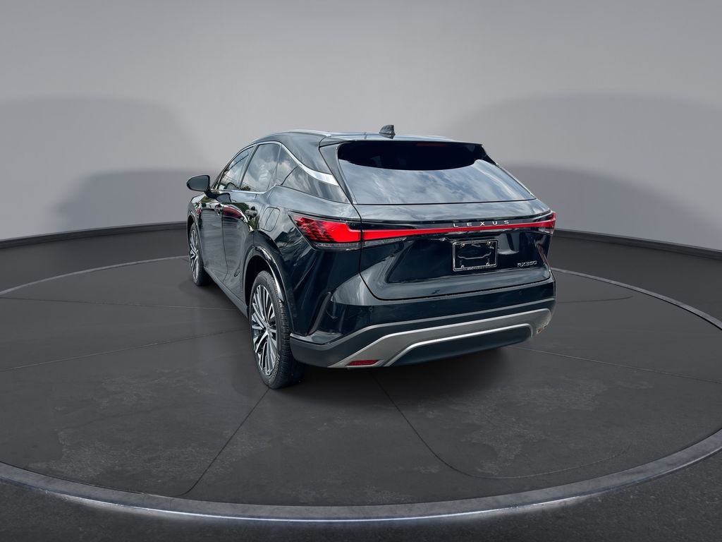 Thumbnail: 2024 Lexus RX - 10