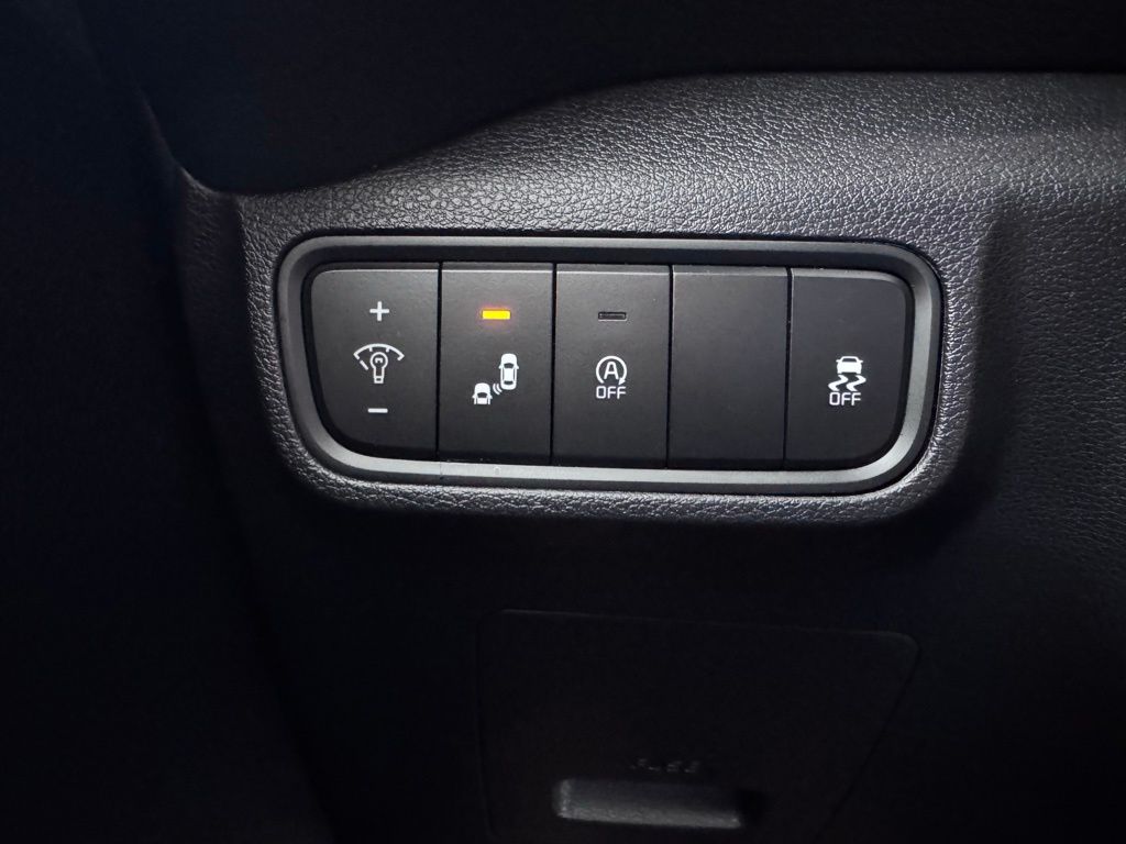 KiaSoul29