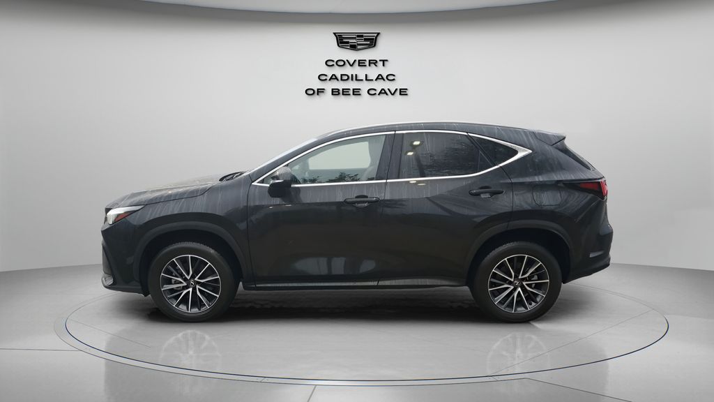 Used Car 2024 Lexus Nx  350 Base For Sale Under $50,000 In Austin, Texas