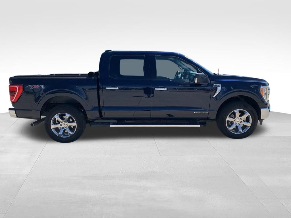 Used 2023 Ford F-150 Truck