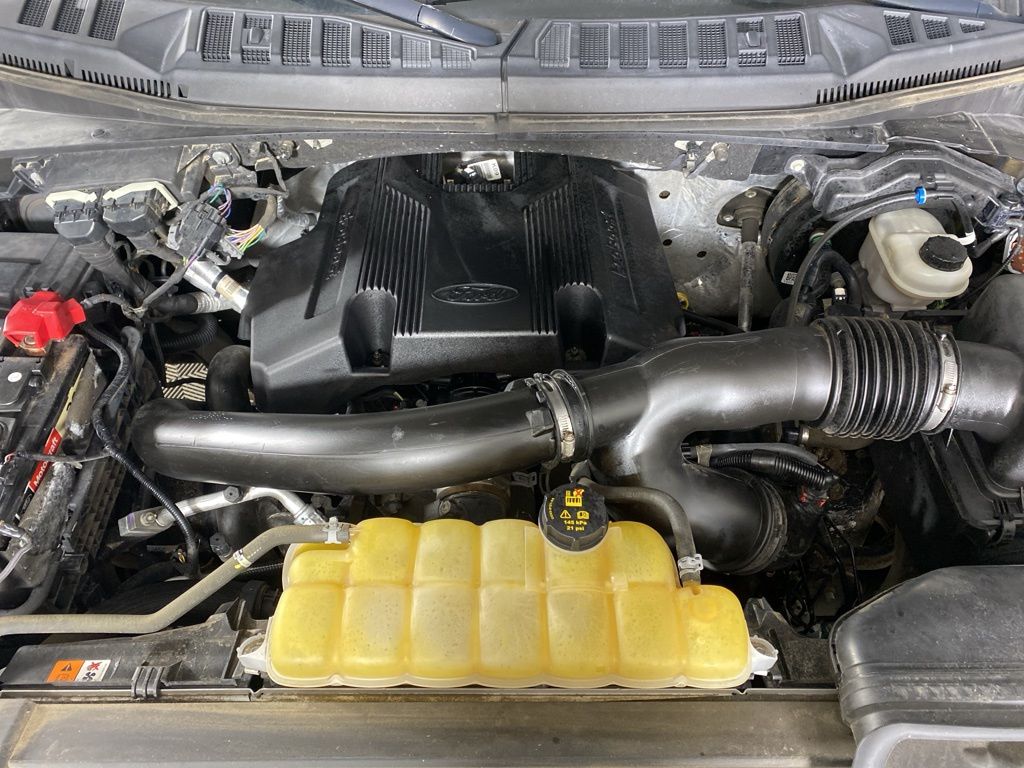 Used 2019 Black Ford XLT image 12