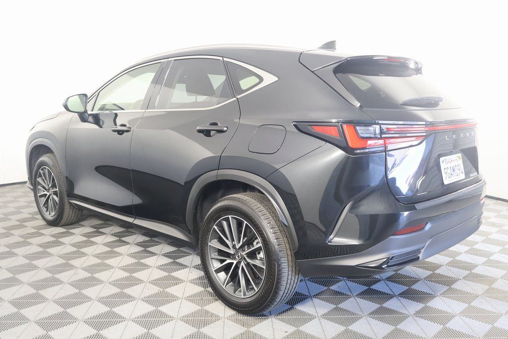 2024 Lexus NX 250 6