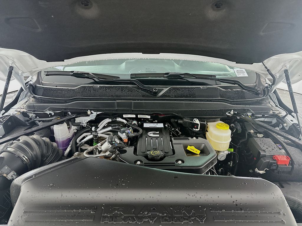 New 2026 White Ram Big Horn 12in image 18