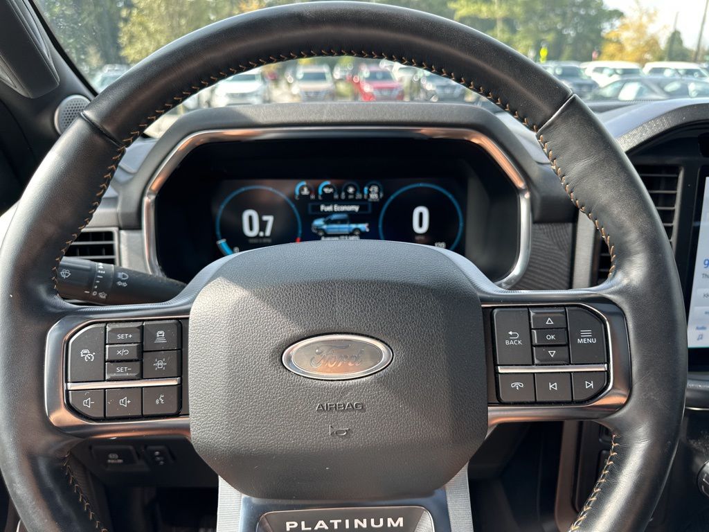 2021 Ford F-150 Platinum 41