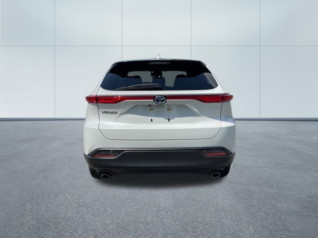 Venza LE