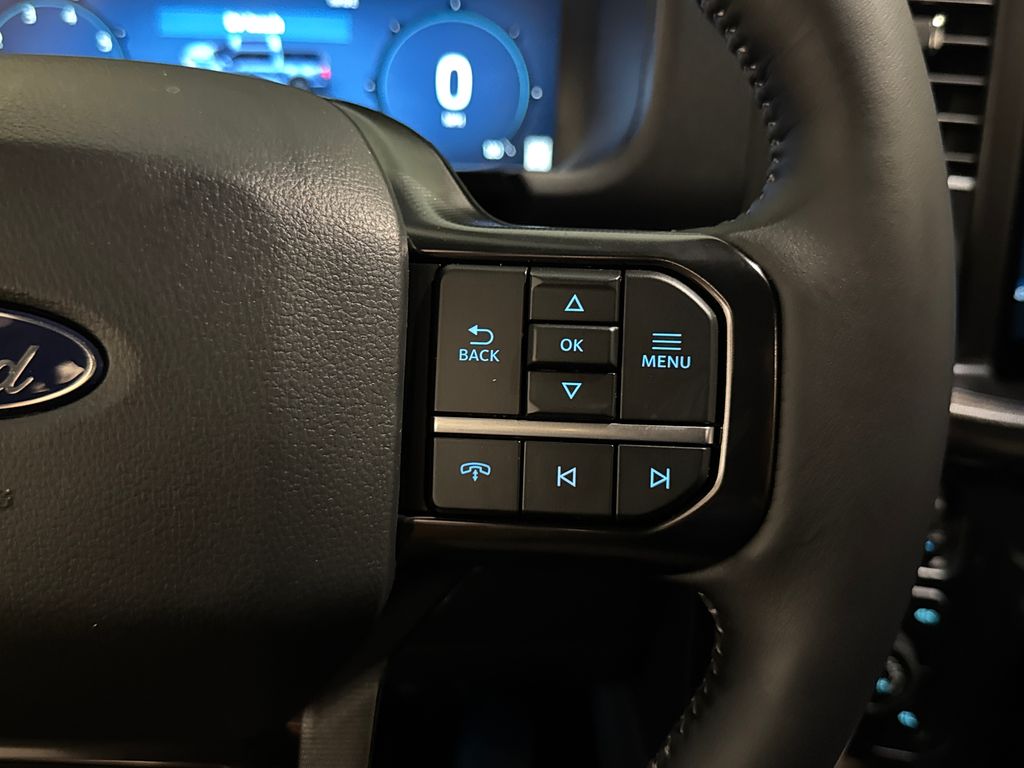 New 2026 Black Ford Platinum image 39