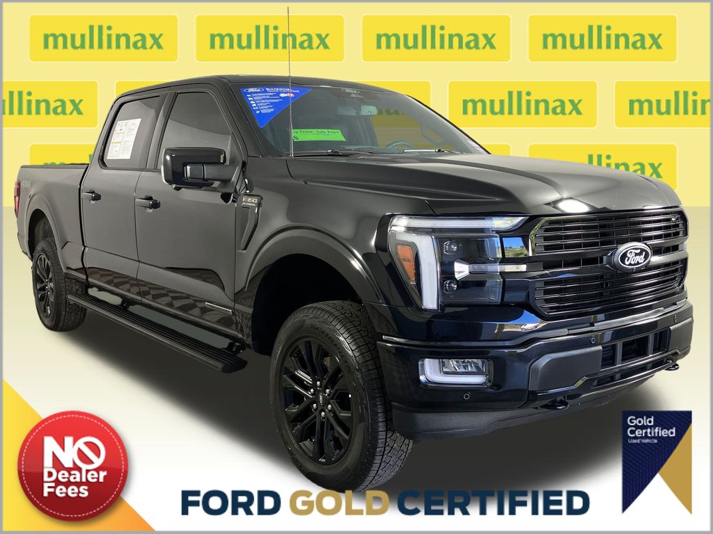 2024 Ford F-150 Platinum's photo