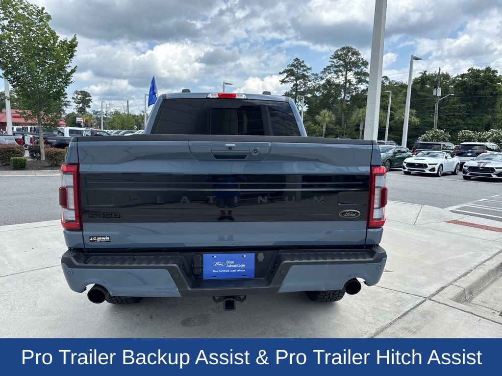 2023 Ford F-150 Platinum