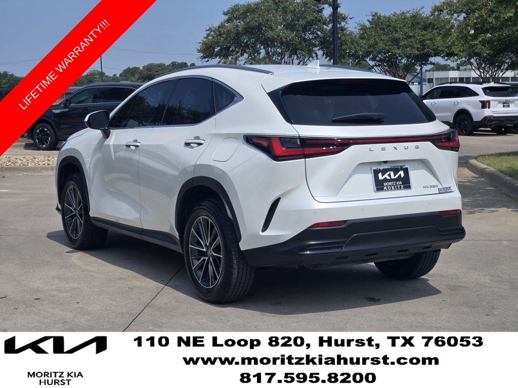 car-gallery-3