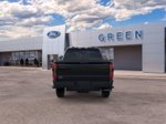 2026 Ford F-250SD Platinum — Black Metallic exterior view 8, for sale at Green Ford in Greensboro, NC