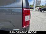 2020 FORD F-150 XLT - Magnetic exterior view 13