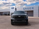 2027 Ford Expedition Platinum — Black Metallic exterior view 7, for sale at Green Ford in Greensboro, NC