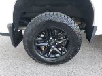 2025 Chevrolet Silverado 1500 Custom Trail Boss — Summit White exterior view 5, for sale at Downtown Nashville Nissan in Nashville, TN