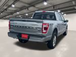 2023 Ford F-150 Platinum - Silver Metallic exterior view 16