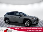 2024 Kia Sportage X-Line — Green primary exterior view, for sale at Bellingham Nissan in Bellingham, WA