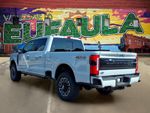 2026 Ford F-250SD Platinum — Avalanche exterior view 3, for sale at Sam Wampler's Freedom Ford Eufaula in Eufaula, OK