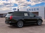 2027 Ford Expedition Platinum — Black Metallic exterior view 6, for sale at Green Ford in Greensboro, NC