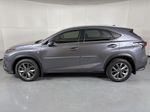 2020 Lexus NX 300 F Sport - Gray Pearl exterior view 5