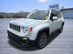 2015 Jeep Renegade Limited - Glacier Metallic exterior view 9