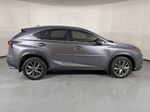 2020 Lexus NX 300 F Sport - Gray Pearl exterior view 9
